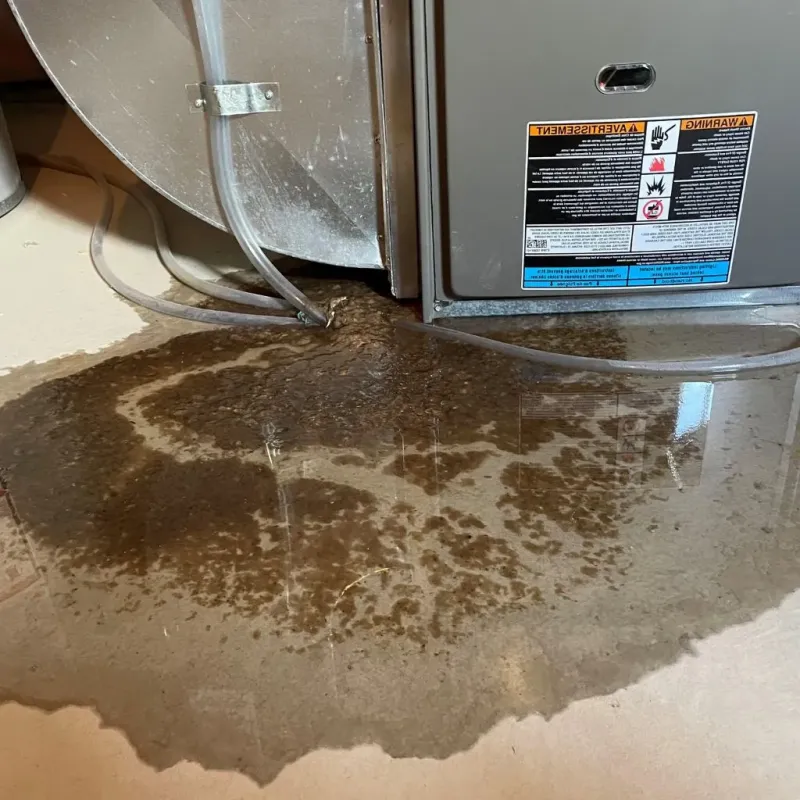 Pipe Burst and Leak Restoration in West Lawn, PA