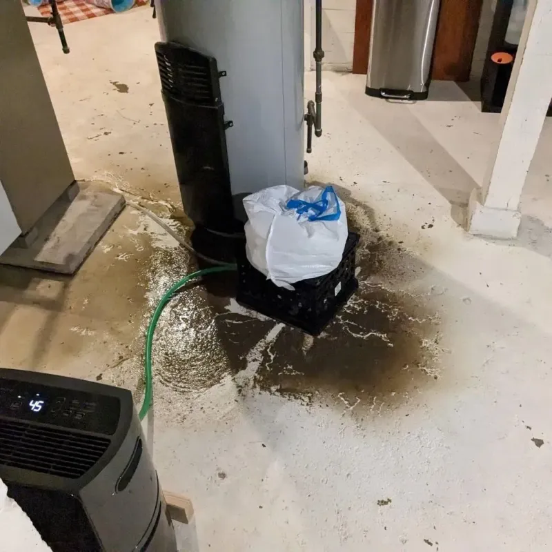 Sewage Backup Cleanup Service in West Lawn, PA